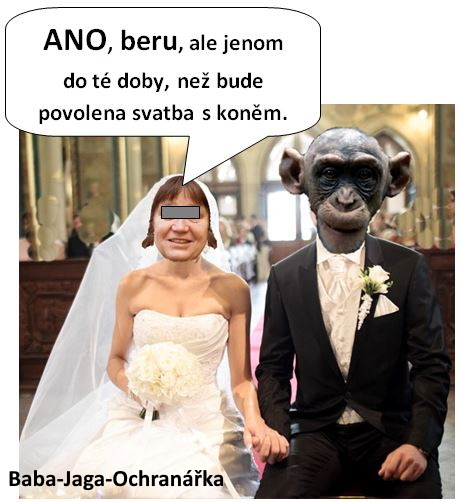 2 - Svatba.JPG, 48kB